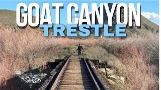 WORLDS LARGEST WOODEN BRIDGE IN SAN DIEGO ! ( WATCH IN 4K )