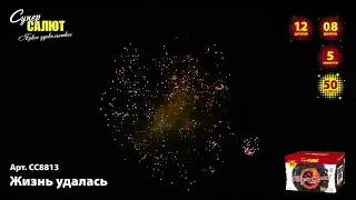 СС8813 Жизнь удалась 50 залпов