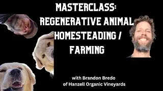 The FUTURE of farming and homesteading with animals. Interview