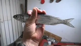Рыбалка на новом месте
