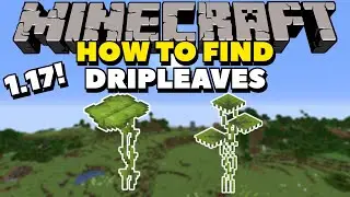 How To FIND Dripleaves (BIG AND SMALL)! | Minecraft 1.17 Tutorials