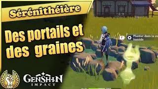 Des graines et des TP dans la théière - 🧚Genshin impact 2.0