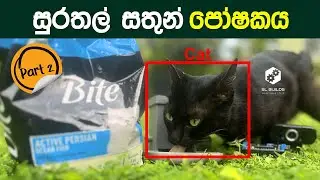 AI Cat Feeder | සුරතල් සතුන් පෝෂකය | Sinhala | Part 2