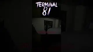 Мини обзор - Terminal 81