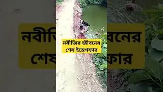 #dua #allah #islamic #islam #islamicstatus #রমজান #দোয়া #shortvideo #short #viral #tending #shorts