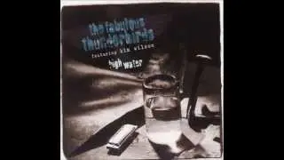 Fabulous Thunderbirds -  Tortured