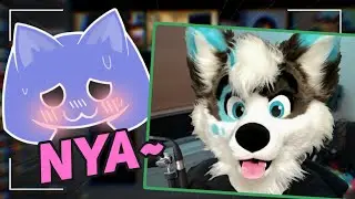 We became discord furries