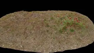 creat in blender flowers grow