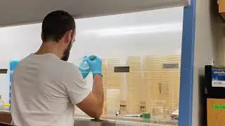 Fungal Subculturing - Forest Entomology Lab - UF