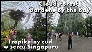 Cloud Forest w Gardens by the Bay: Tropikalny cud w sercu Singapuru - Azjatycka przygada #Szysz
