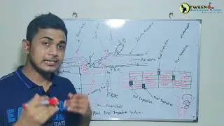 How to work port fuel Injection system 