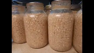 Canning Corn | Raw Pack Method | How to Preserve Corn