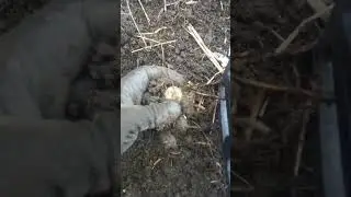 Находка вдоль дороги,металлокоп 2023 https://t.me/prometallokop