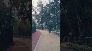 #hkview