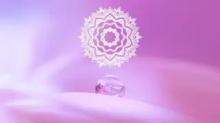 Manifest Miracles ❀ Self Love 528 Hz ❀ Raise Your Vibration