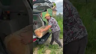 Купил пень колоду на дачу эксклюзив 