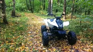 Квадроцикл Patron Scaner 150 RD. Честный обзор.