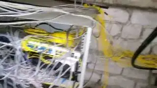 шум