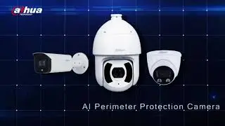 Perimeter Protection Solution - Dahua