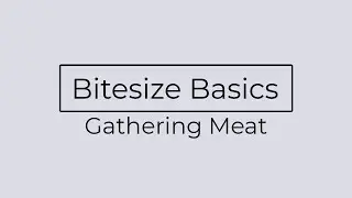 BDO | Black Desert Online Xbox One | Gathering Meat