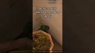 Лайк если хочешь что бы залетело👍 #standoff #mem #so2 #fps #zara #standoff2 #врек