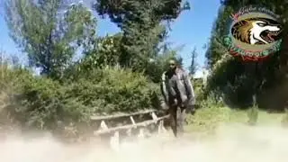 Risking high in the sky comedy