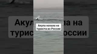 Египет, Хургада и опять акула