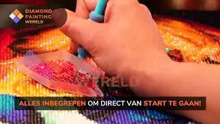 Diamond Painting | Hoe werkt het? | Diamond Painting van eigen foto