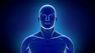 Narrating the Brain: Voiceover Demo on Brain Science