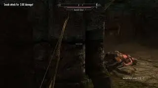 Skyrim - ???