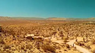 MOJAVE DESERT | California, USA