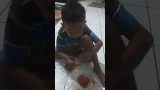 Perhatikan Anak ini Makan kepiting hehehe