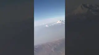 Арарат