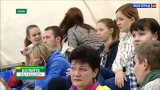 Динамо итоги
