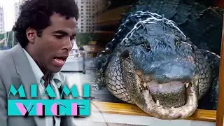 Tubbs Meets Elvis For The First Time. Iconic Scene | Miami Vice