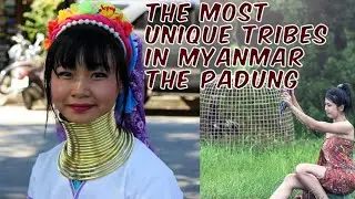 The most unique tribes in Myanmar the Padung