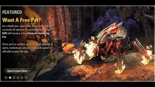 ESO: New free Dwarven Spiderling Pet