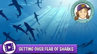 Ask Tierney - How can I get over my fear of sharks?