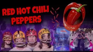 ONE OF THE BEST CONCERTS *RED HOT CHILI PEPPERS*🌶 2023