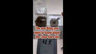 The one thing you need to know about Chou Kuro ink..