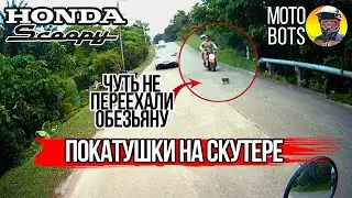 Покатушка на скутере HONDA в тайланде | Чуть не задавили обезьяну!