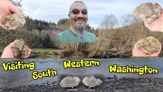 Rockhounding A Washington River In Search Of Minerals