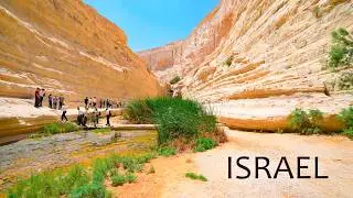 Israel. The Negev Desert in the Sweltering Heat 🥵 Immersion in the Beauty of the Wilderness.