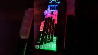 Best Keyboard Under 600