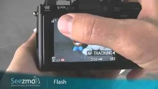 Panasonic GF1: Flash Guide