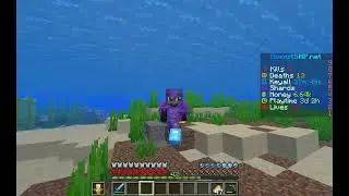 🔥how to get stacked on donut smp🔥