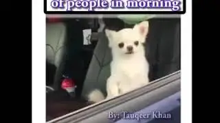 Two types of people in morning