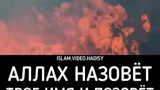 Судный день (