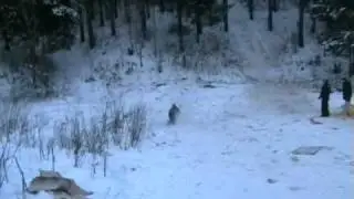 горки,для взрослых