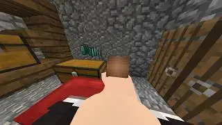 I Downloaded Jenny Mod And Gave Jenny Diamonds NO BLUR